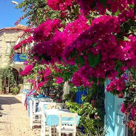 מלון Alacati Frida *