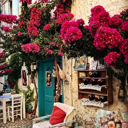 מלון Alacati Frida *