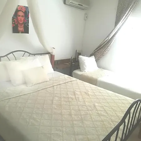 酒店 Alacati Frida Çeşme