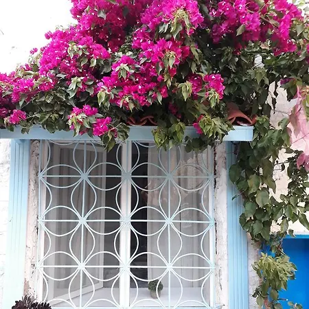 מלון Alacati Frida