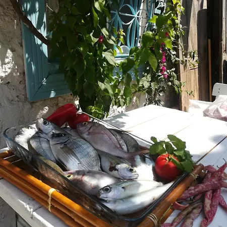 Alacati Frida מלון